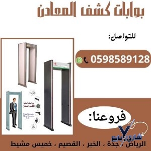 بوابة كشف عن معادن